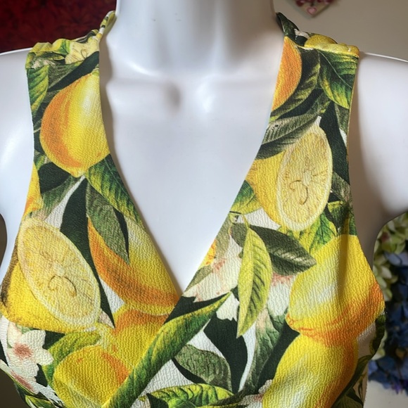 Show Me Your Mumu Citrus Stretch Conga
Top - Picture 10 of 11